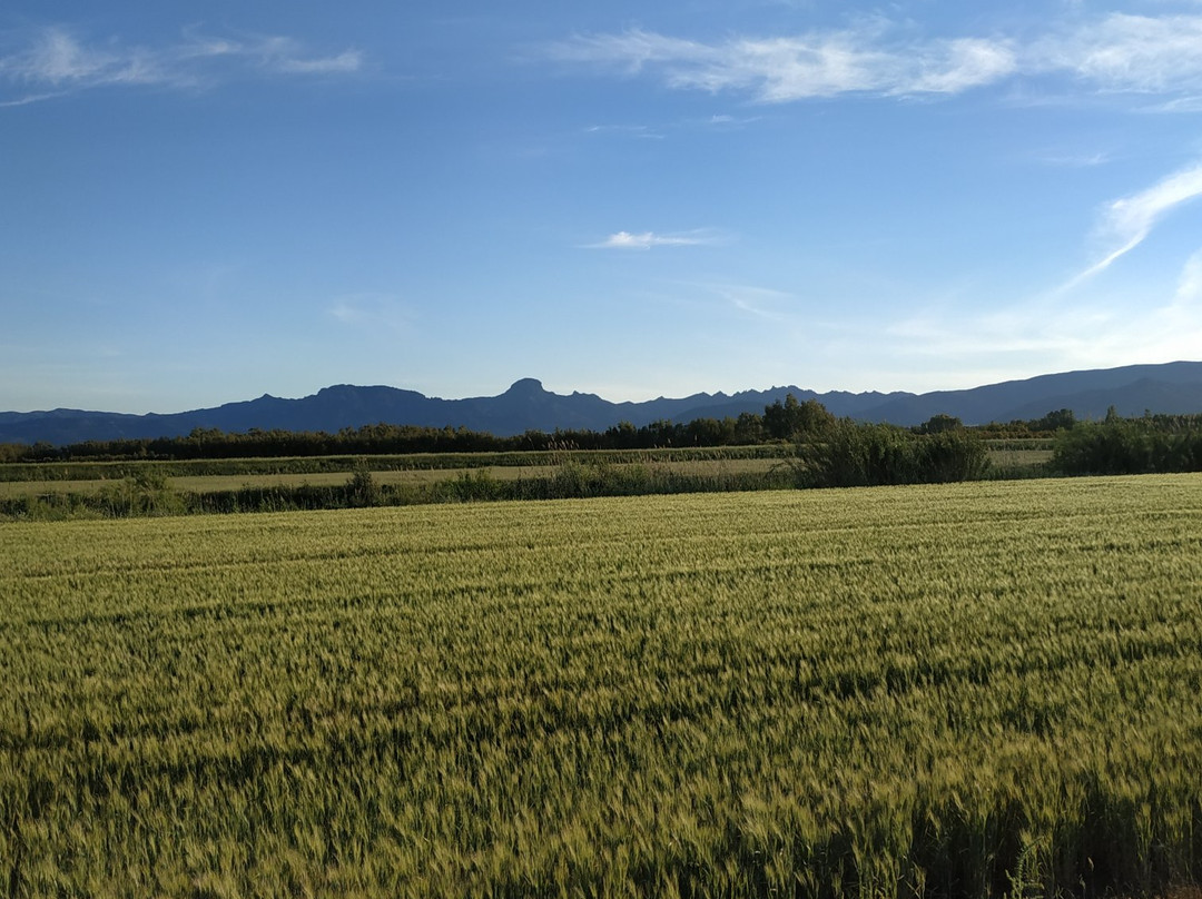 San Nicolo d'Arcidano旅游攻略图片