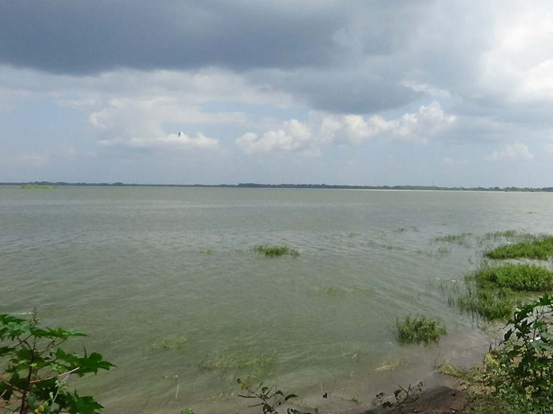 Yodha Wewa-马纳尔必去景点