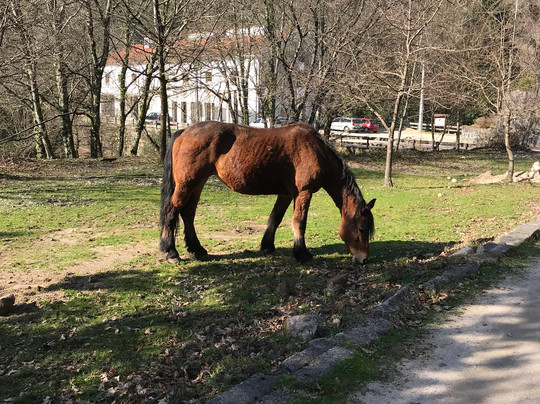 Detours-波尔图必去景点