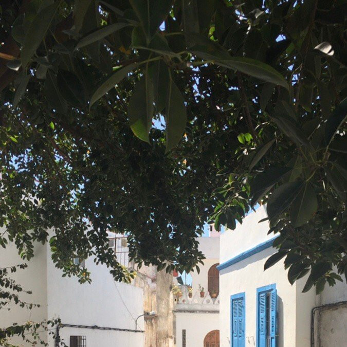 Tomb of Ibn Battouta-丹吉尔必去景点