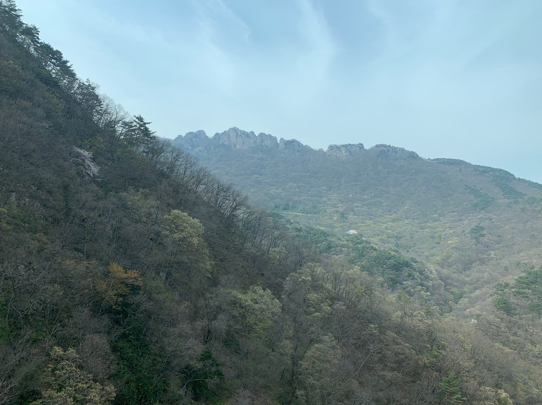 Naejangsan Mountain Cable Car景点图片