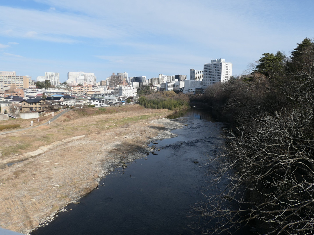 Nishi Park-仙台市必去景点