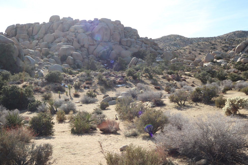 Boulder Gardens Sanctuary景点图片