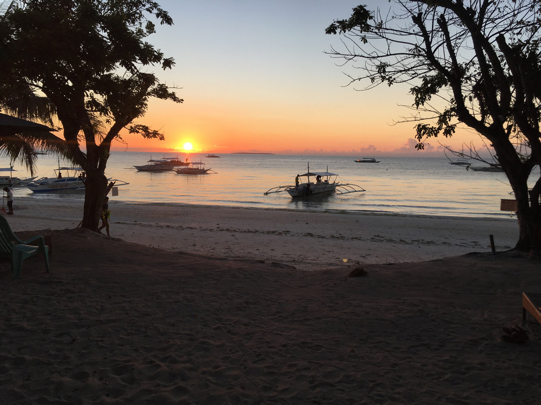 Panglao Grande Resort主图