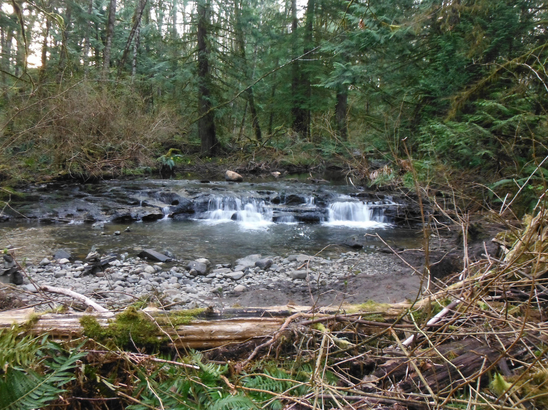 Stocking Creek Trail景点图片