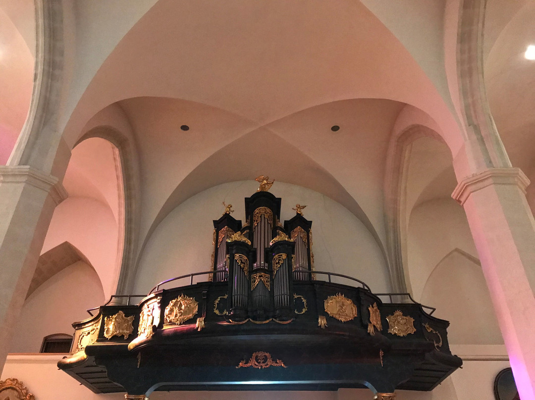 Dom- und Stadtpfarre zum Hl. Martin-铁城必去景点