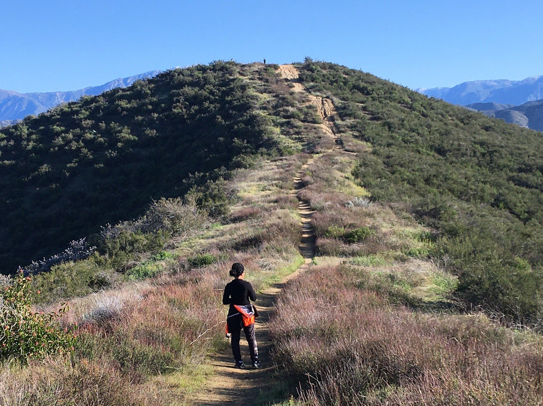 Zanja Peak Trail-Yucaipa必去景点