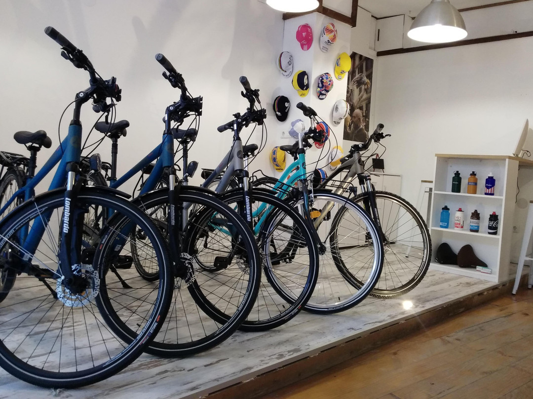 Bike in Mind Valencia-巴伦西亚必去景点