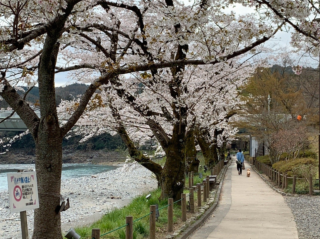 Kamanofuchi Park景点图片