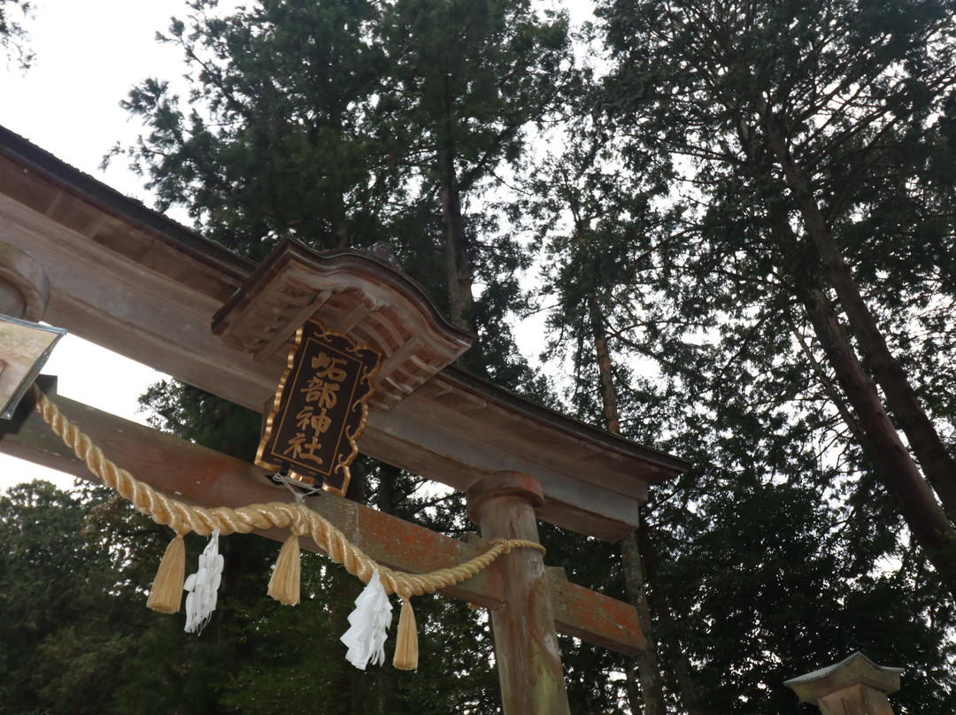 Isobe Shrine-丹波市必去景点
