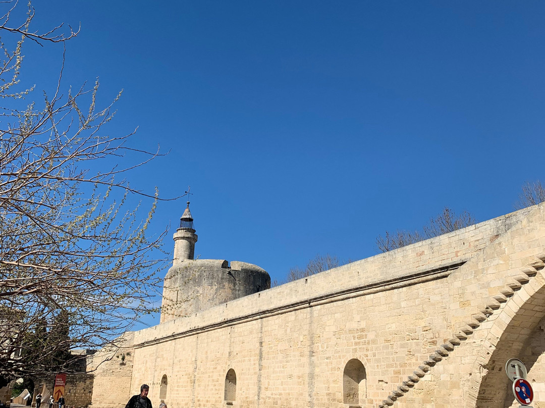 Towers and Ramparts of Aigues-Mortes景点图片