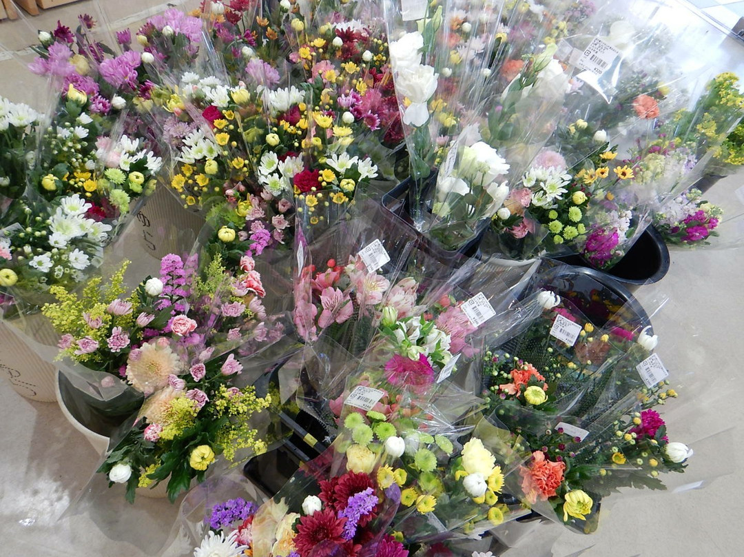 Michi-no-Eki Takeyura no Sato Otaki-大多喜町必去景点