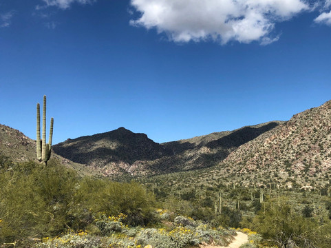 White Tank Mountain Regional Park-Waddell必去景点