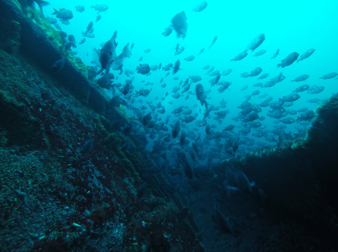 ExploraSub-Chanaral de Aceituno必去景点