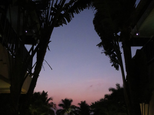 O Hotel Goa, Candolim Beach主图