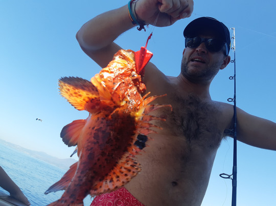 LOVIT Charter-巴努斯港必去景点