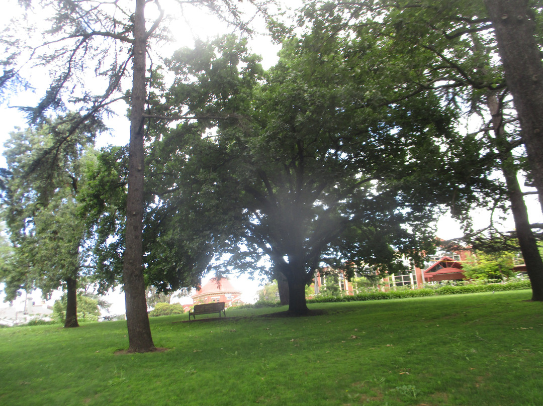 Heidelberg Park景点图片