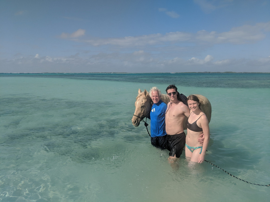 Horse Ranch Bonaire-Kralendijk必去景点