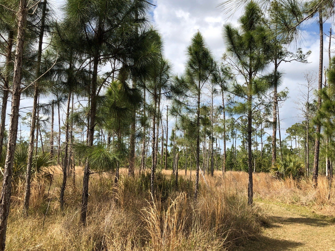Serenity Walk Park-Naples Park必去景点
