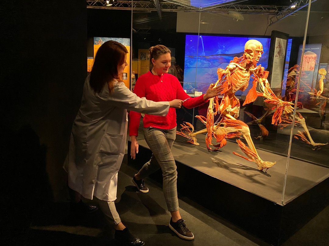 Body Worlds Tallinn景点图片