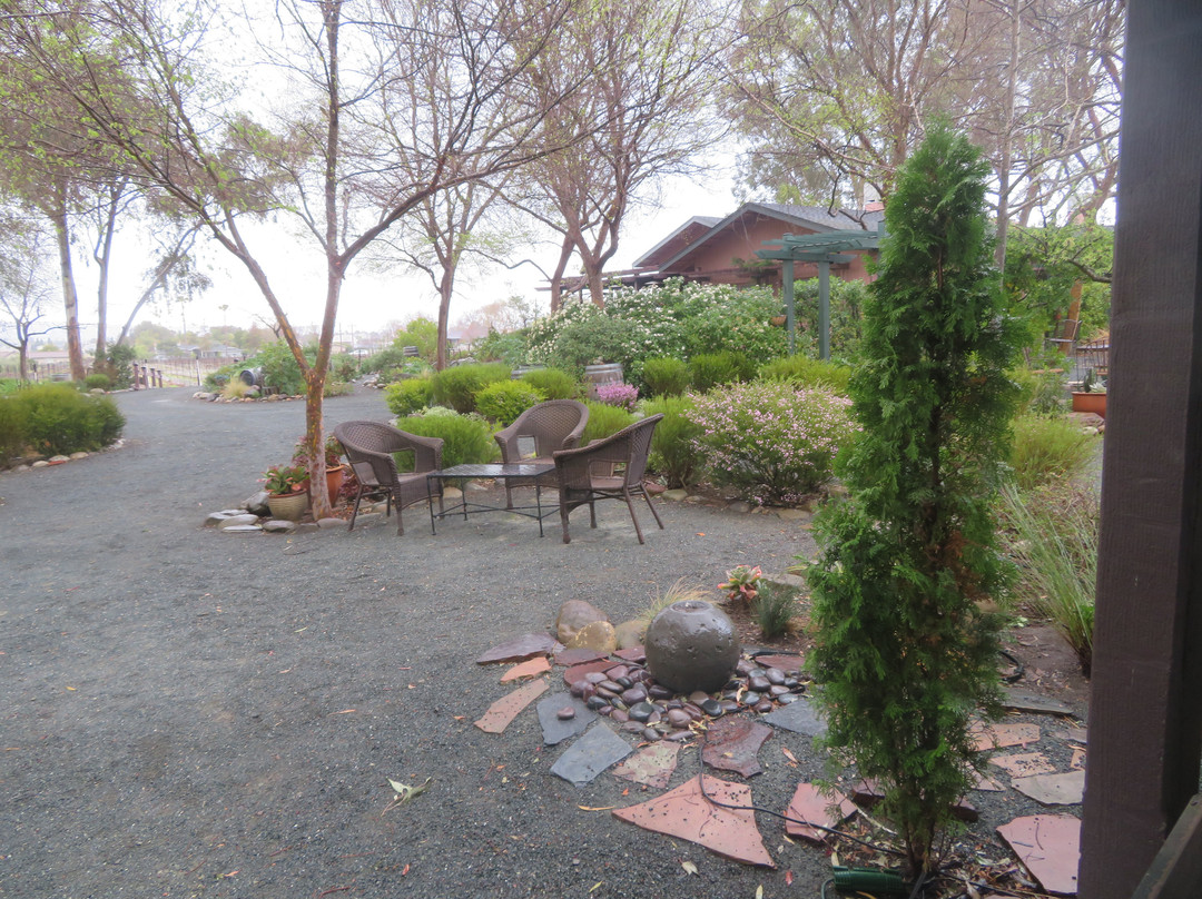 Rodrigue Molyneaux Estate Winery & Vineyard-利佛摩必去景点