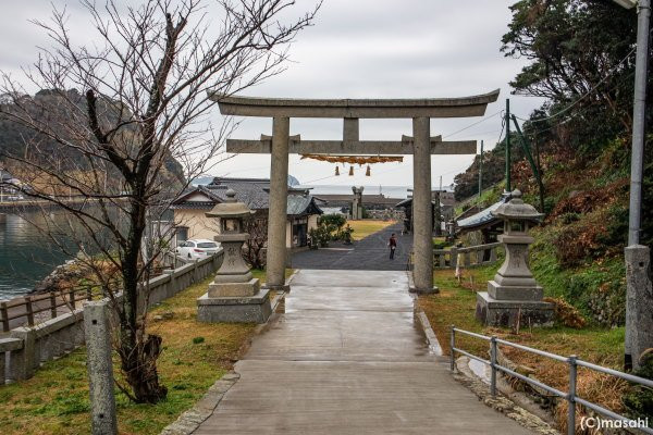 Tashima Shrine-唐津市必去景点