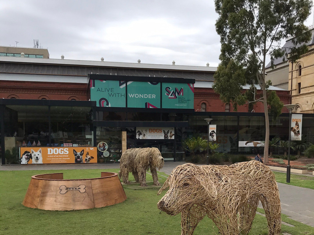 North Terrace-阿德莱德必去景点