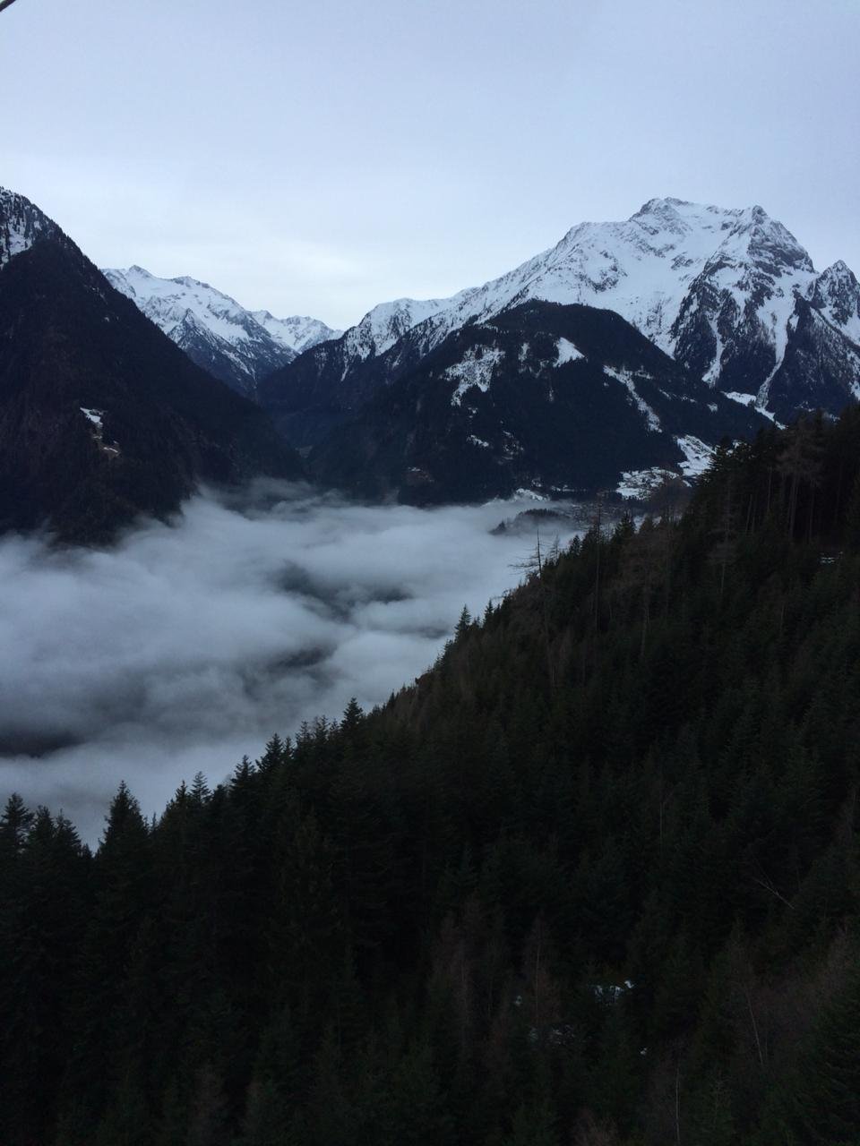 Pension Regina-官方