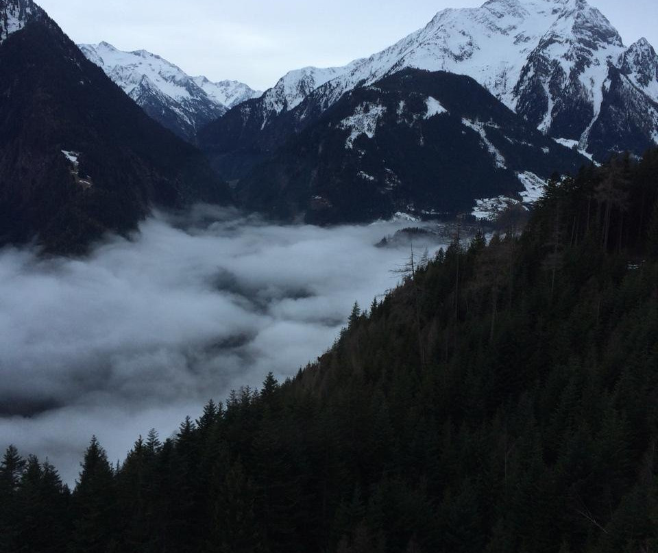 Pension Regina主图