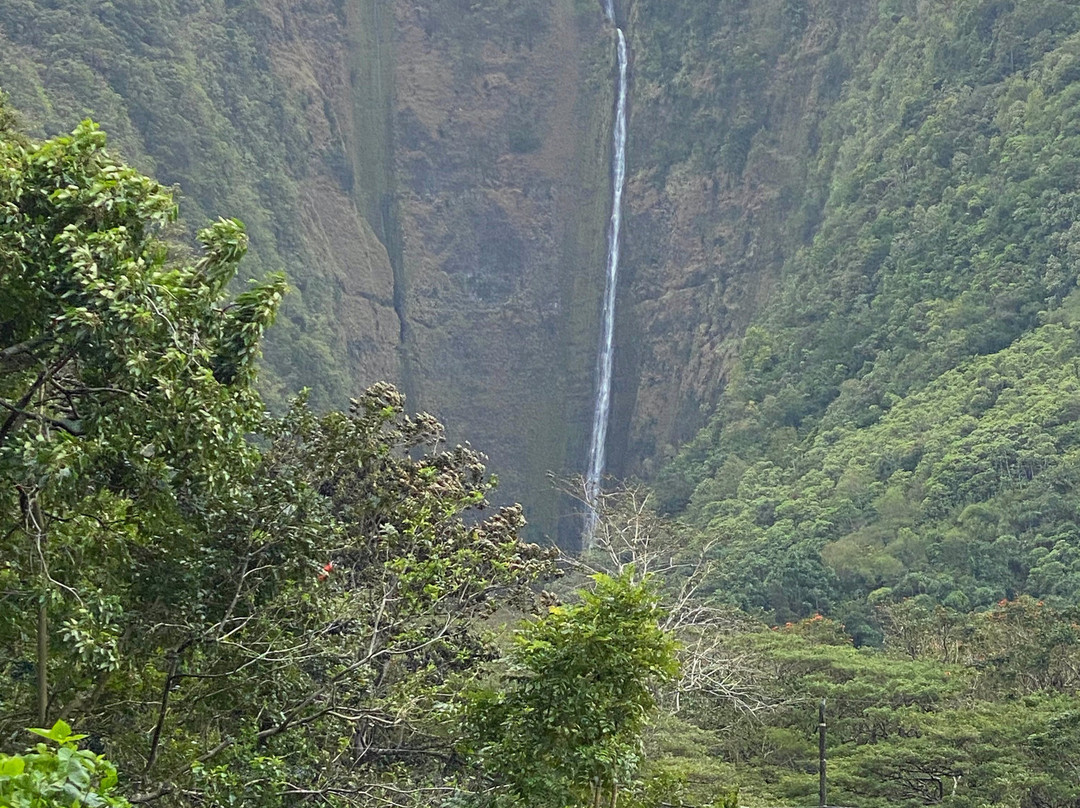 Hawea Waipio Valley Adventure景点图片
