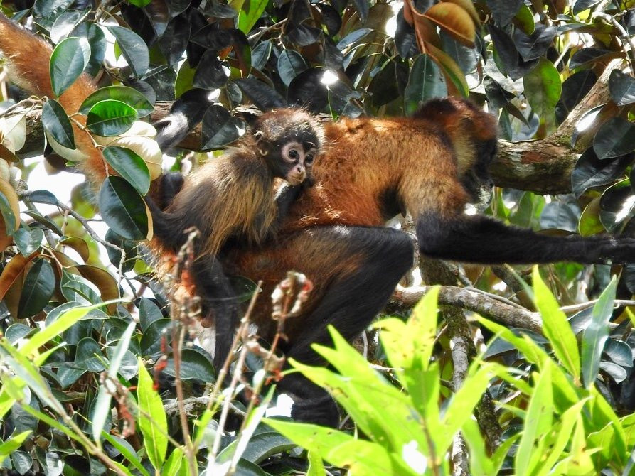 Hotel de Campo Cano Negro主图