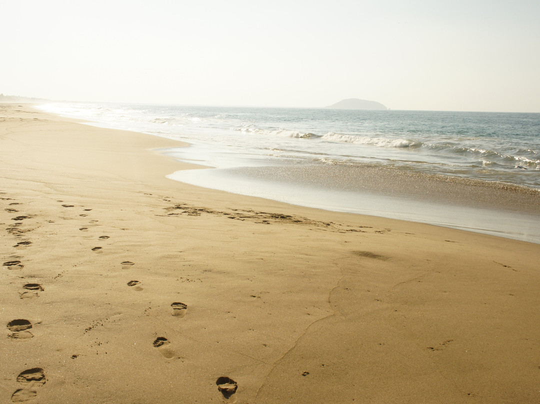 Playa Larga景点图片