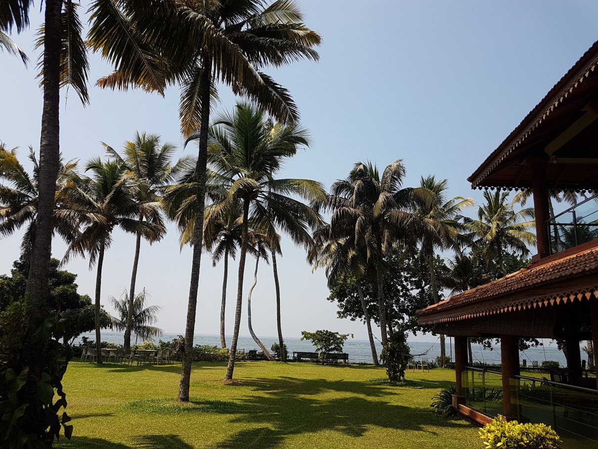 雷克松度假村-餐饮