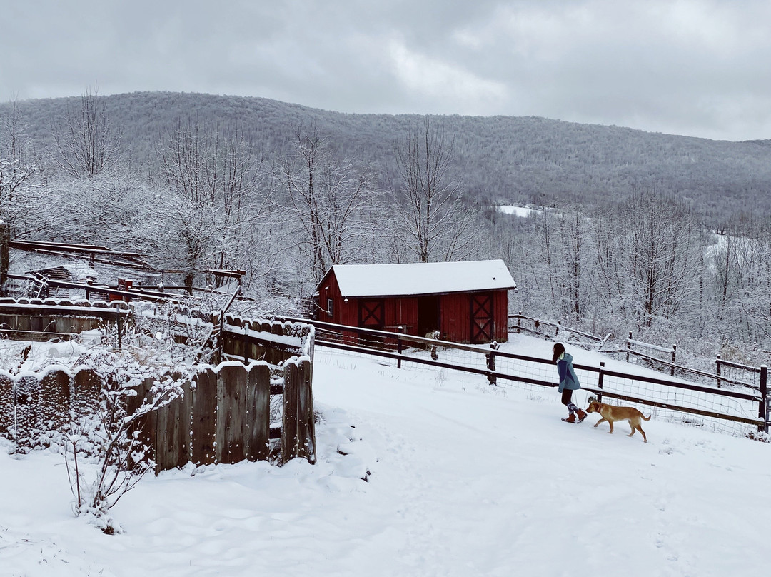 Highlanders View Bed & Breakfast主图