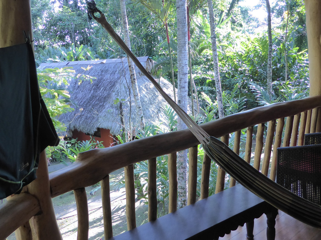 Cariblue Beach & Jungle Resort主图