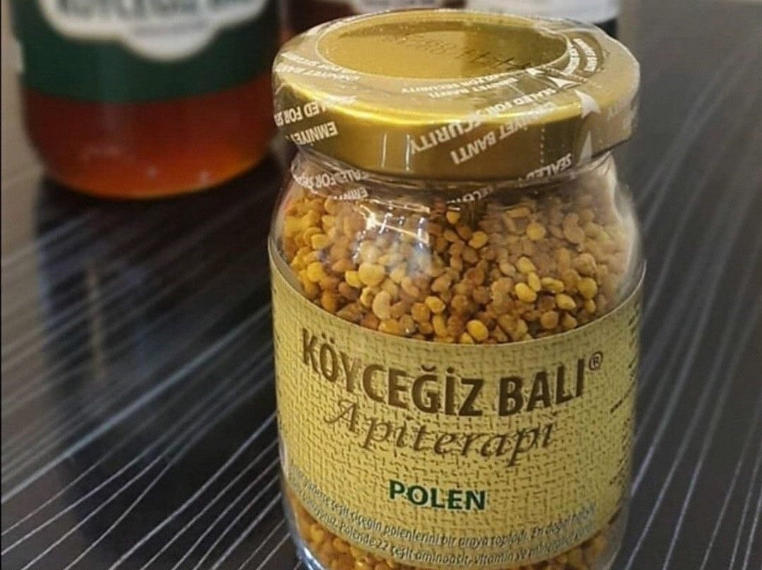 Koycegiz Bali景点图片