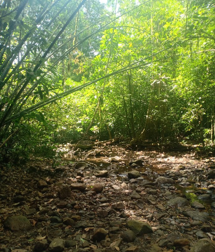 Khao Sok Center Tours景点图片