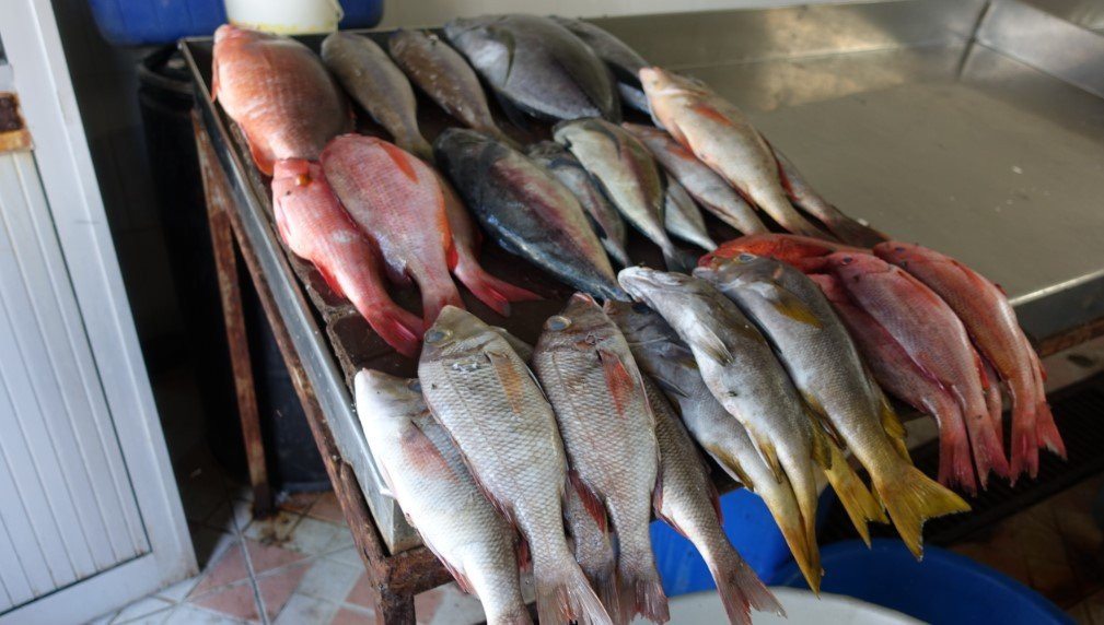 Mercado de Sucupira-培亚必去景点