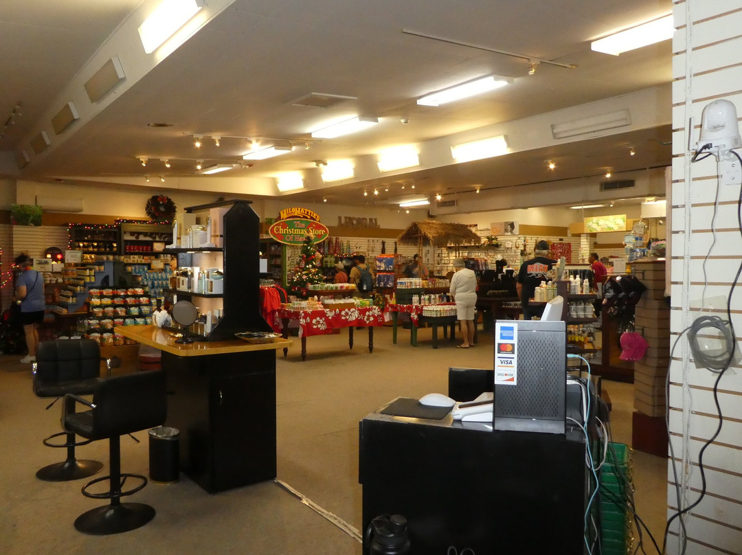 希洛哈蒂时装厂-利胡埃必去景点