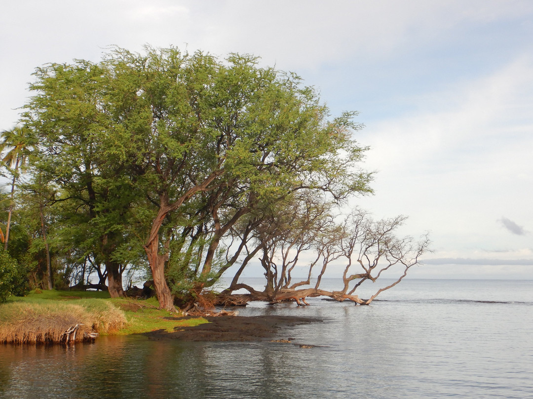 Ala Kahakai National Historic Trail景点图片