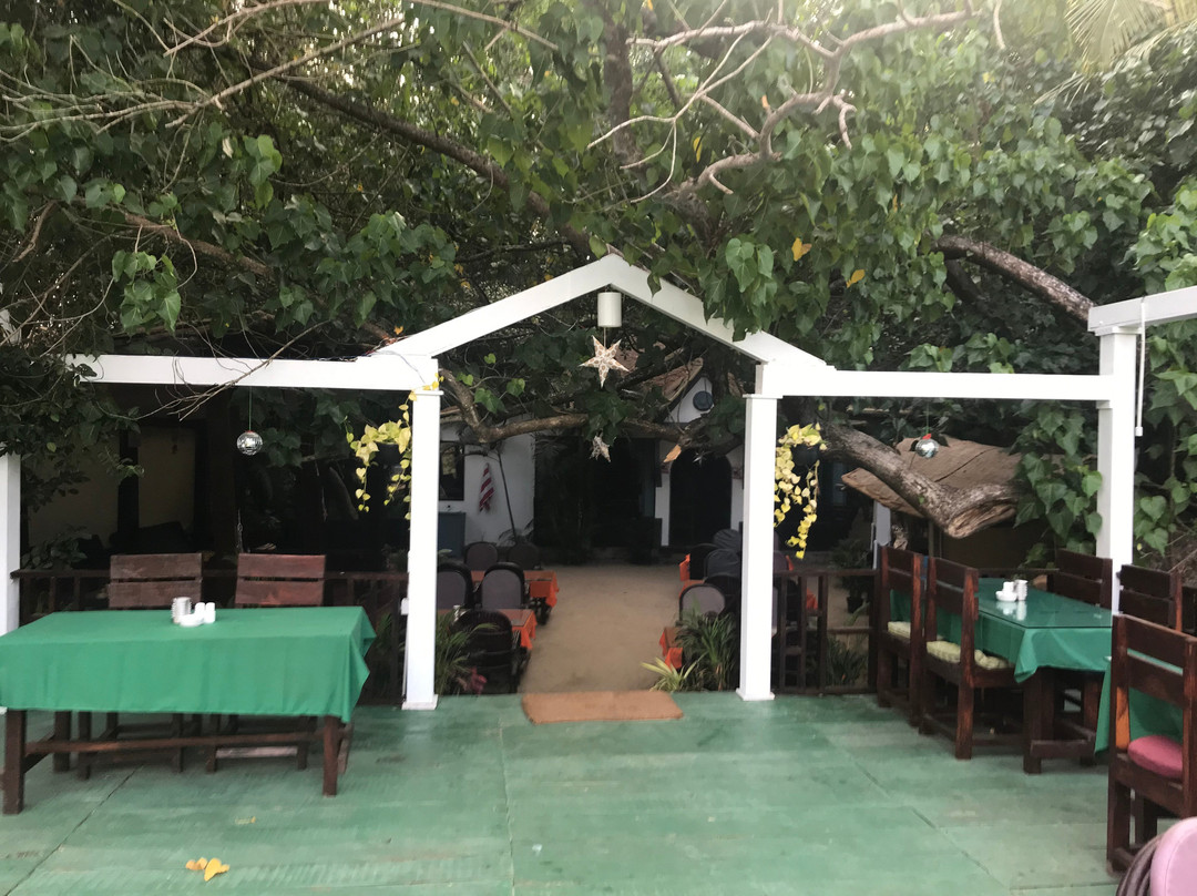 Dream Catcher by Feather Touch主图