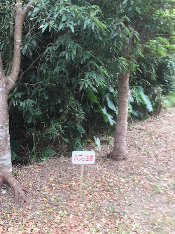 Urasoe Park-浦添市必去景点