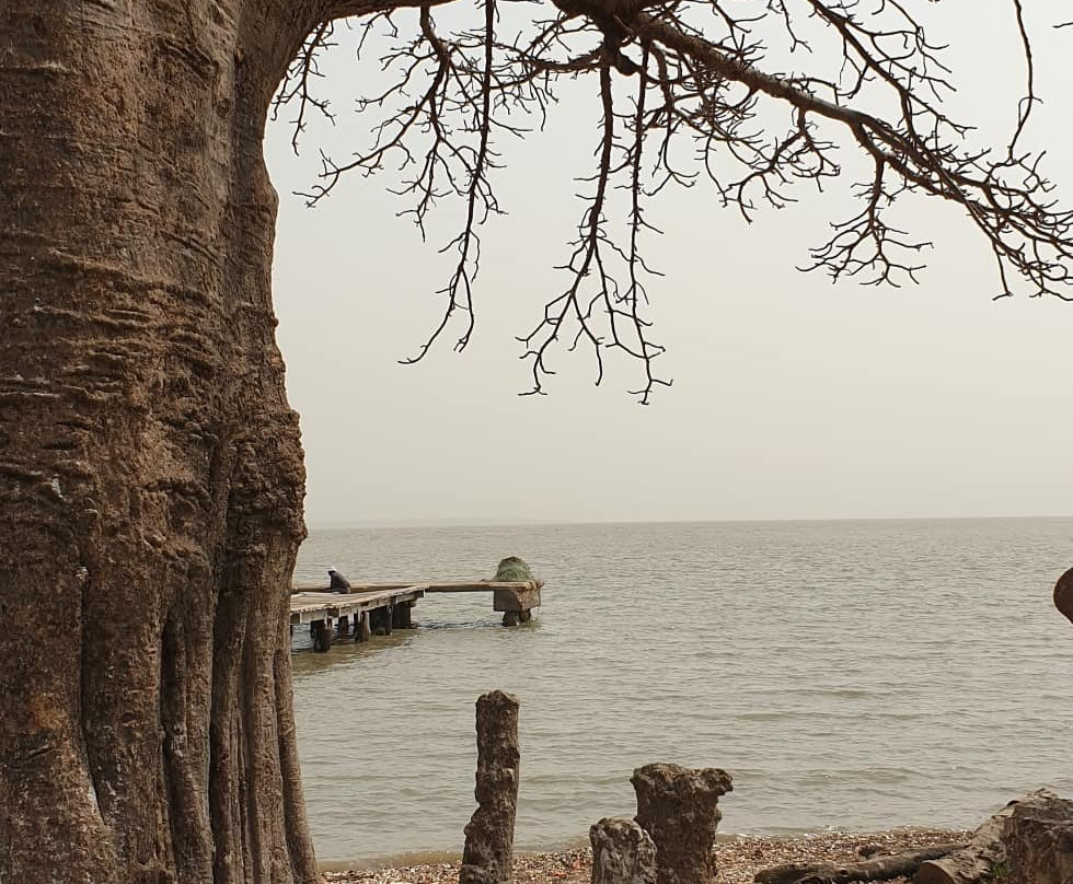 Traditional Tour Gambia景点图片
