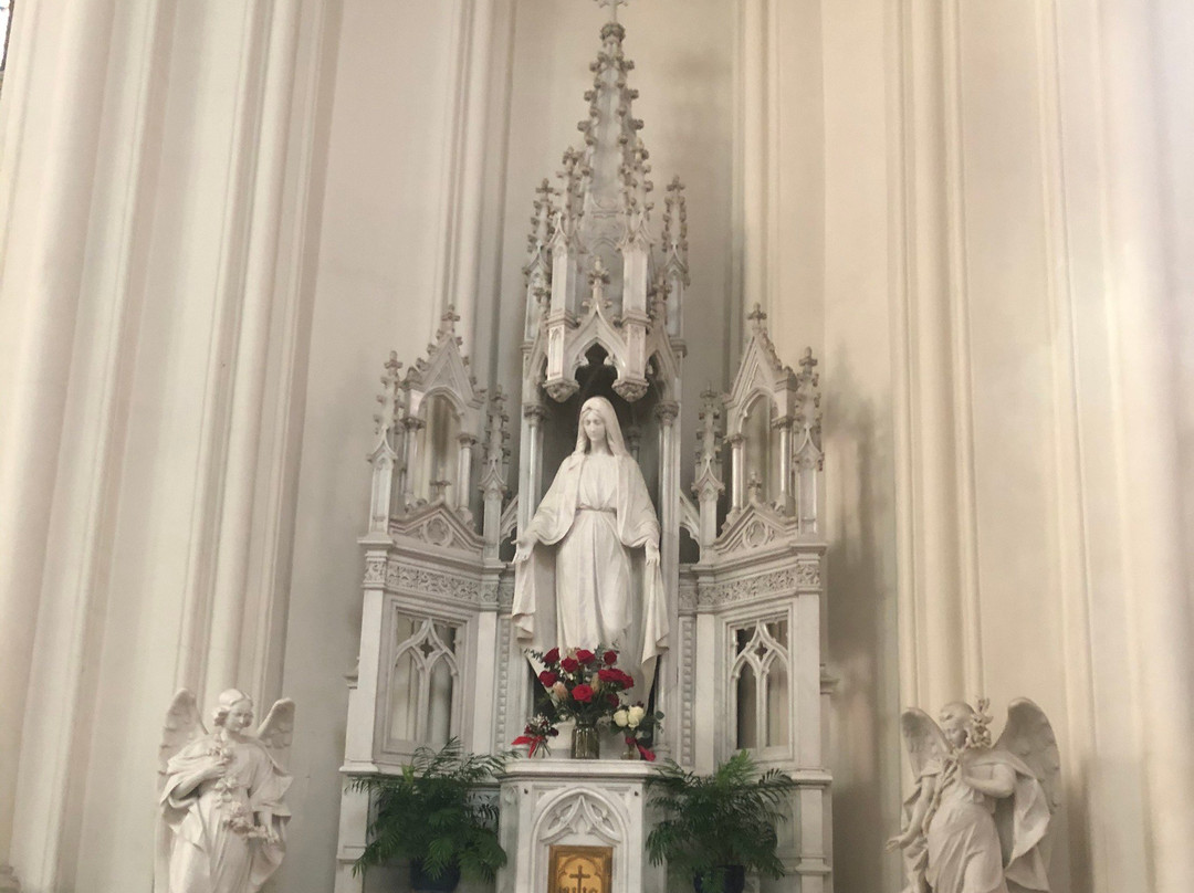 Cathedral of the Immaculate Conception景点图片