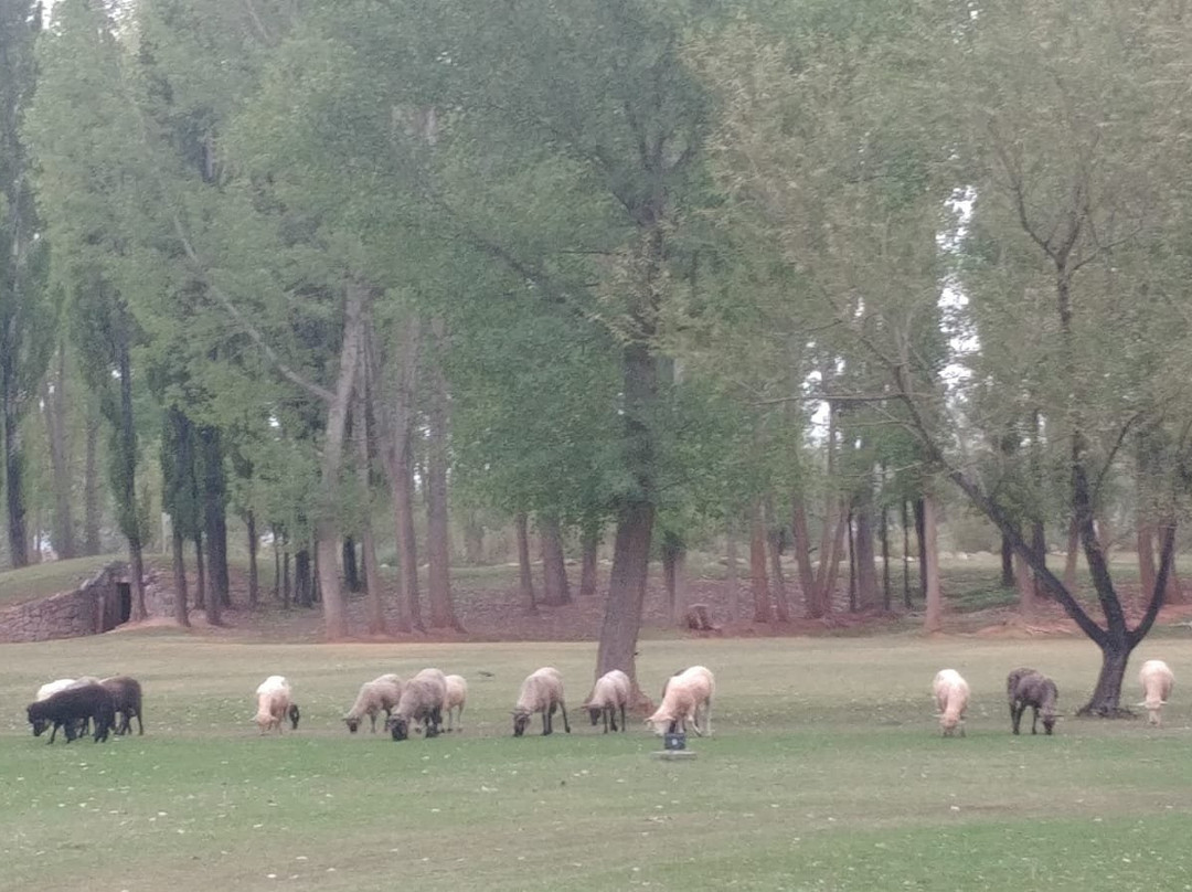 Risco Plateado Hotel主图