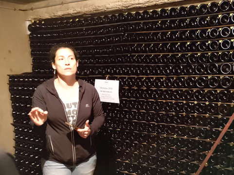 In Vox Veritas-兰斯必去景点