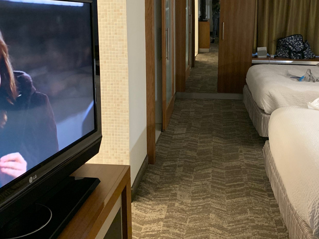 SpringHill Suites by Marriott Columbia Downtown/The Vista主图