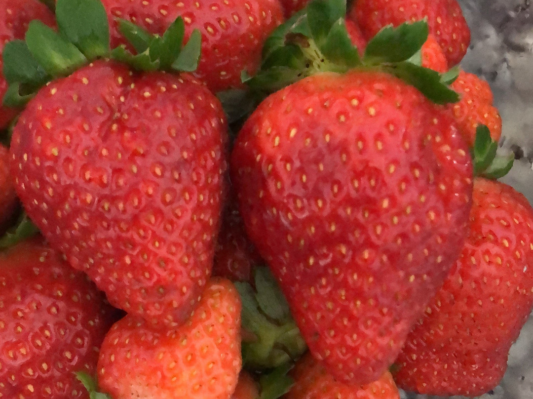 Mercado Municipal de São Paulo-圣保罗必去景点