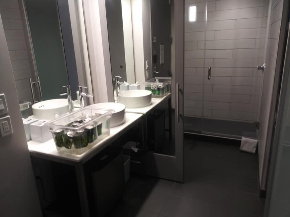 Aloft Newport on the Levee主图