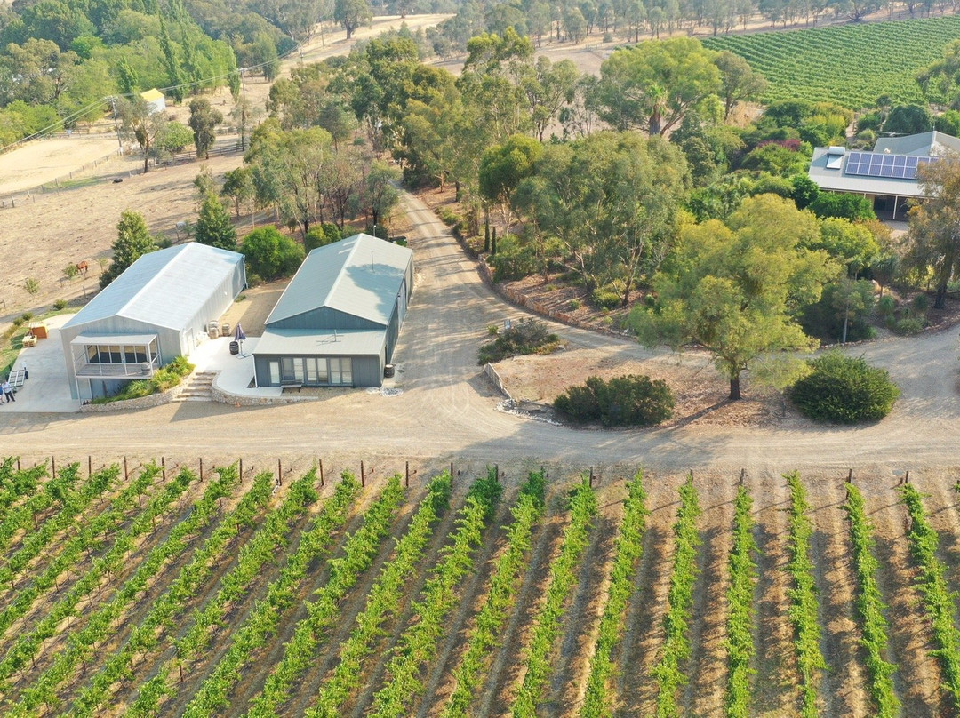 Serengale Vineyard-比奇沃思必去景点